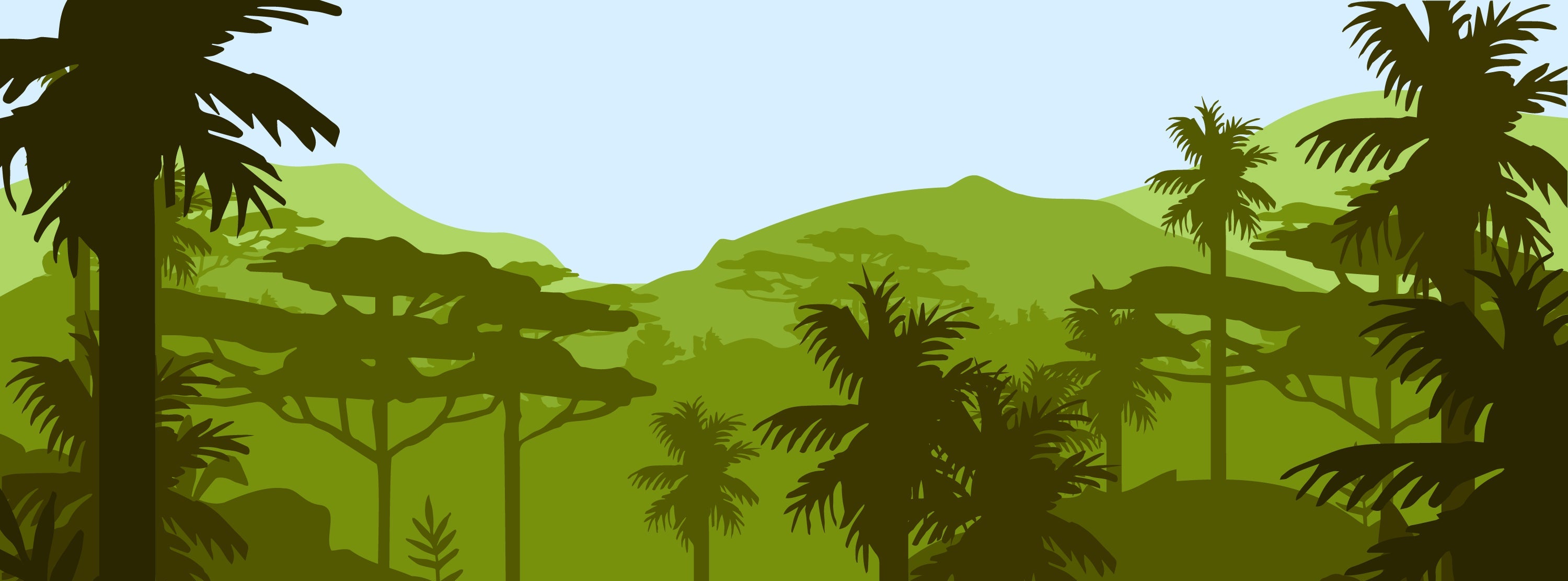 collection-banner-image