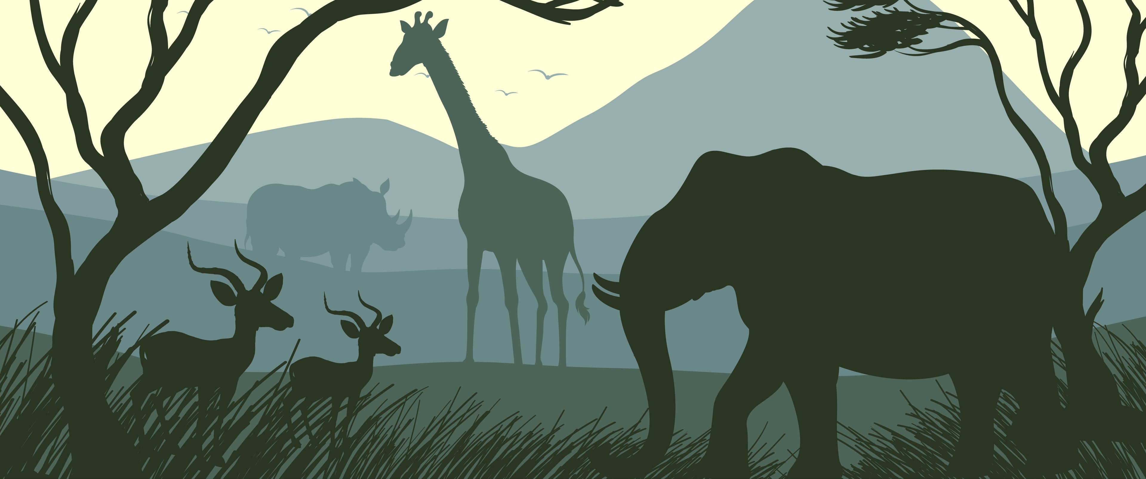 collection-banner-image